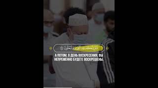 📖 Аль-Муминун | 12-22 | 🎙 Чтец - مختار الحاج | Mukhtar Al Haaj