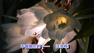 01-016 みちづれ***小林幸子(國語: 冬戀. 山茶花) 音緣2299 金嗓 ...