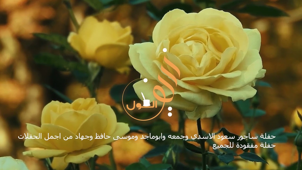 حفلة ساجور حفلة طلبوها الناس كثير سعود الاسدي وموسى الحافظ وجمعه وابوماجد ونخبة من الشعراء معركة