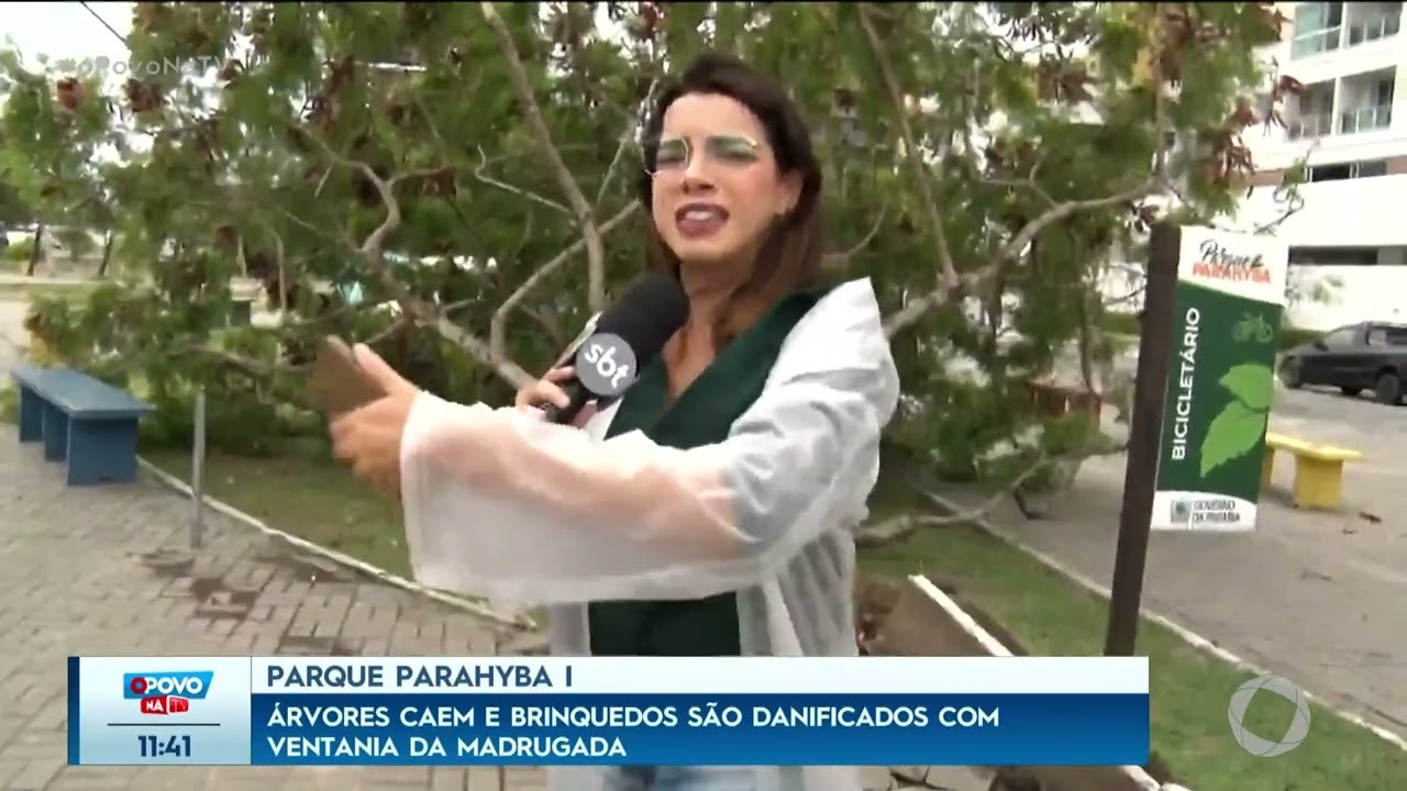 Parque Parahyba I: árvores caem e brinquedos são danificados com ventania - O Povo na TV