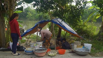 Bán Cá Trên Đường Quê #2 | Nét Quê #76