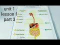 شرح ساينس رابعة ابتدائي لغات ترم تاني Digestive System part 3