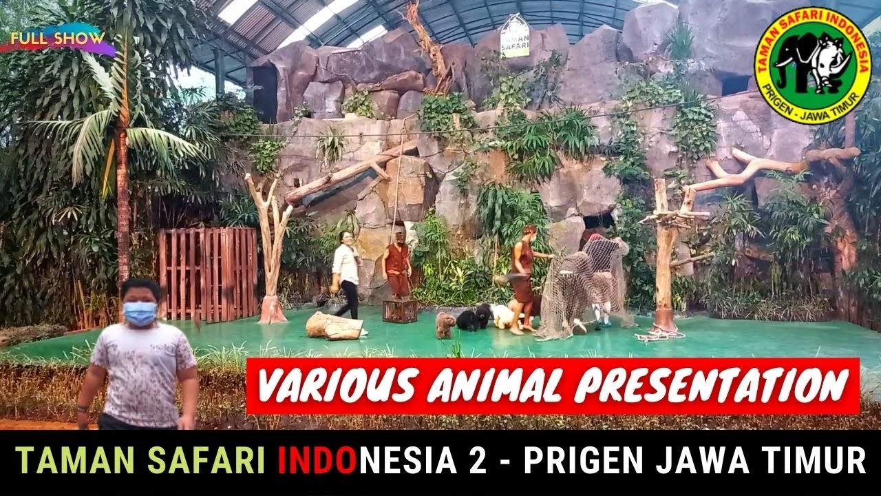 animal presentation taman safari prigen