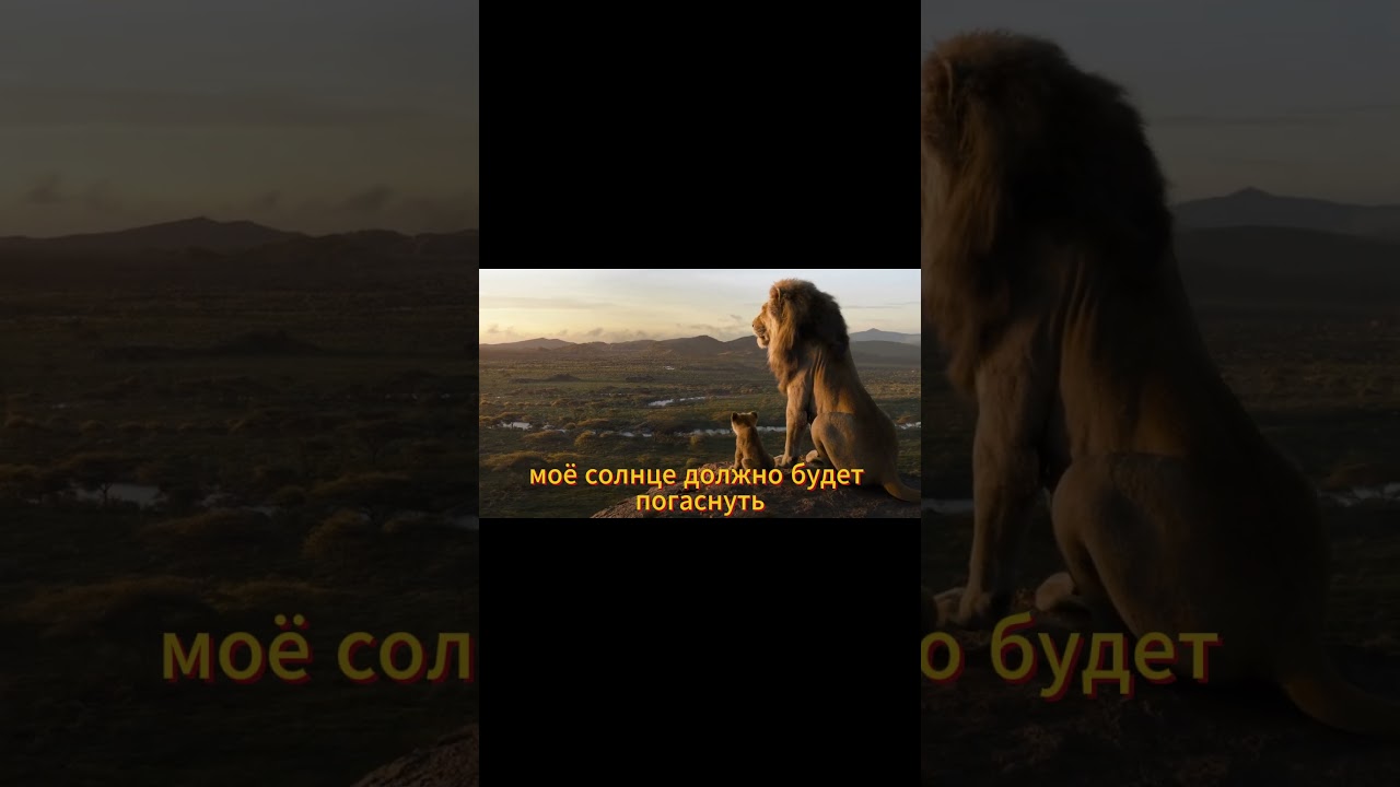 Эта сцена говорит больше, чем весь фильм… 