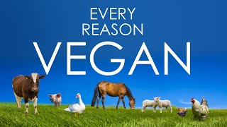 Every Reason to GO VEGAN // Official Veganism Channel of YouTube