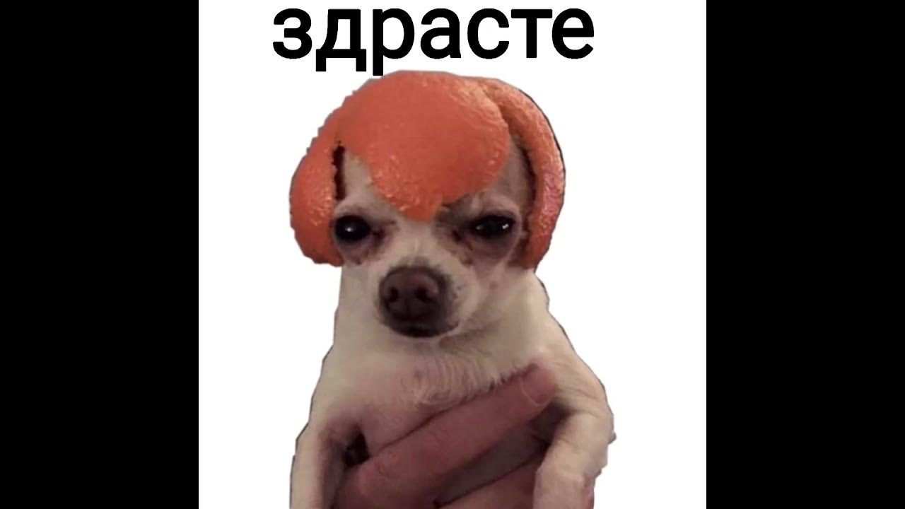 авы для стендофф 2 (фулл) - YouTube