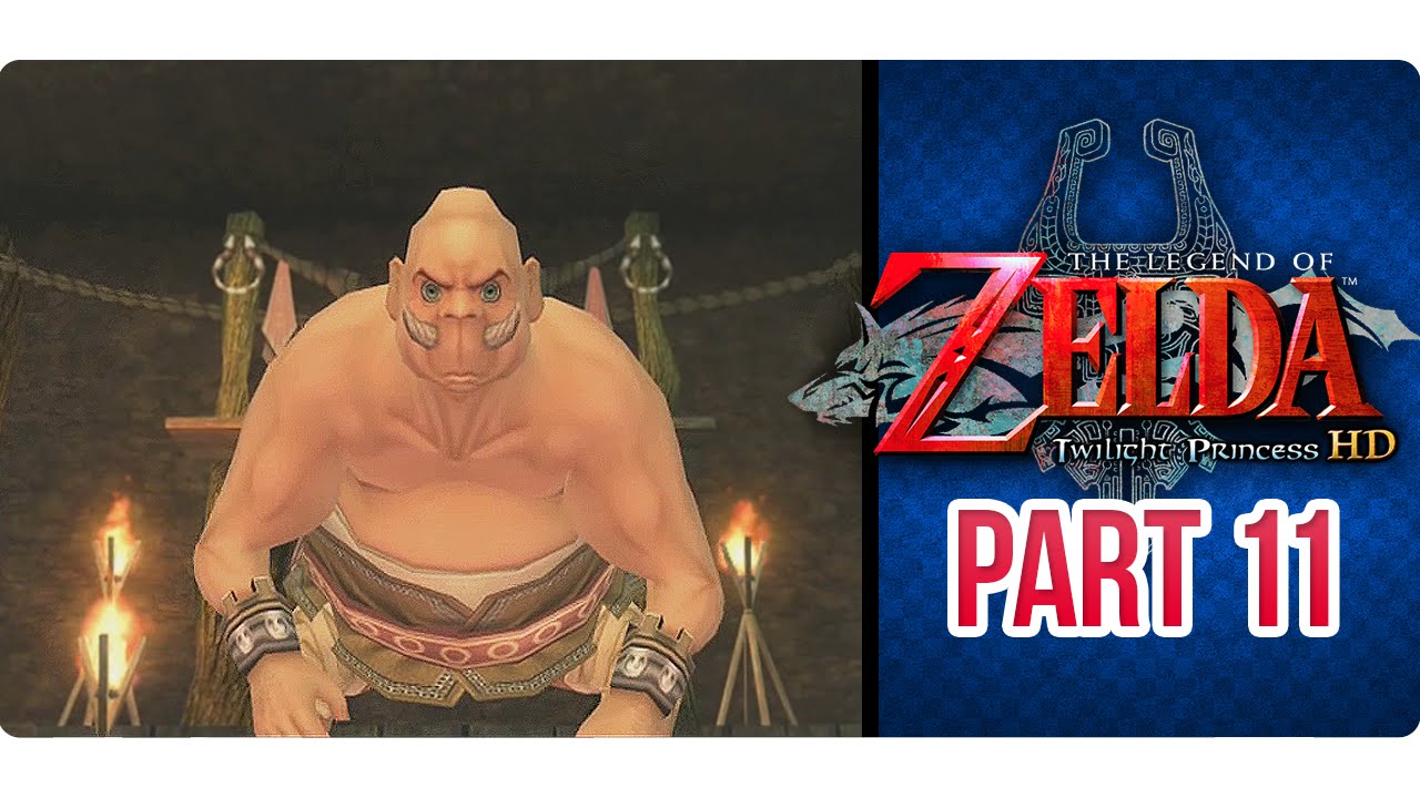 The Legend of Zelda Twilight Princess HD Part 11 Reuniting