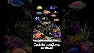 3D Hologram Aquarium Project 🐠 Amazing 3D Fish Tank Illusion at Home