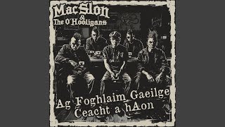 My Life, My World, My Way (Gaeilge Edit)