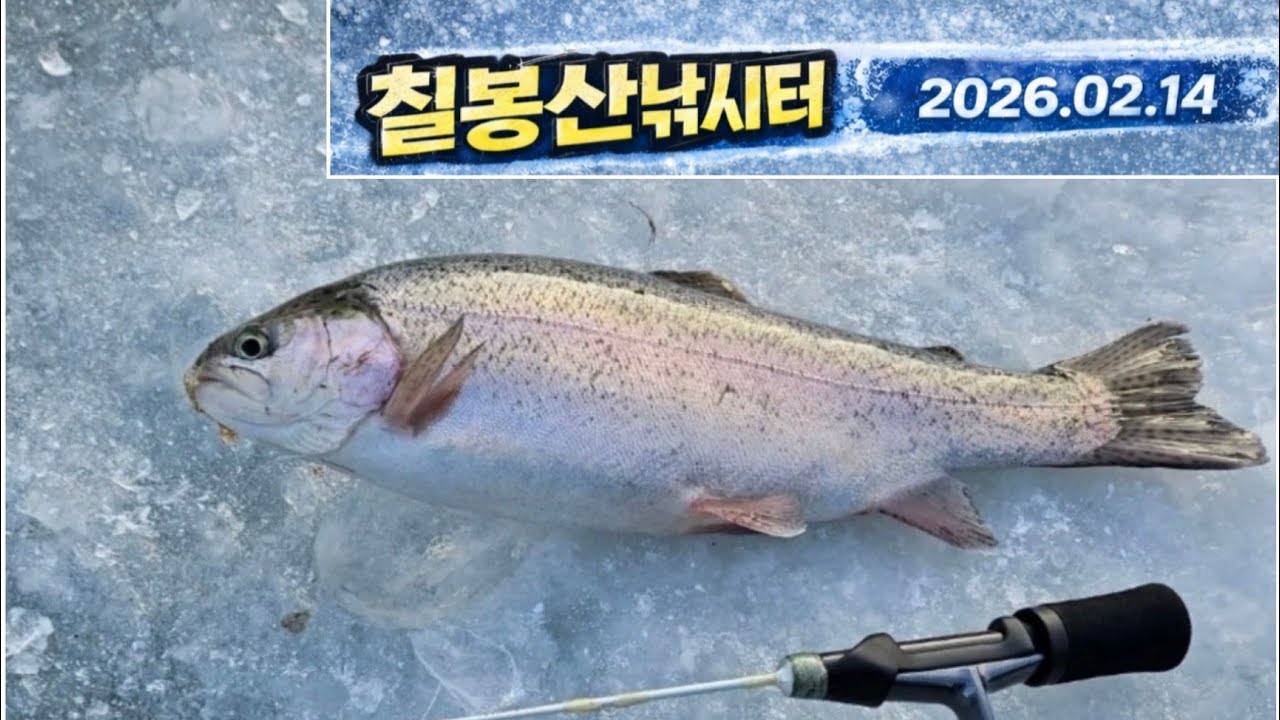 송어 얼음낚시를 가다(칠봉산 낚시터)