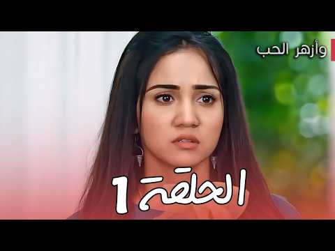 وأزهر الحب الحلقة 1 يوغ ينقذ حياة ويخسر حب والبداية مع كايري
