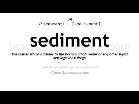ಸೆಡಿಮೆಂಟ್ ಉಚ್ಚಾರಣೆ | Sediment ವ್ಯಾಖ್ಯಾನ