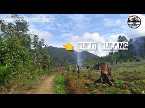 Perjalanan Ke Bukit Burang part 1 ( Tersesat ) - YouTube