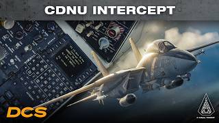 DCS F-14B(U) Bonus 4 - CDNU Intercept
