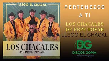 Los Chacales de Pepe Tovar-Pertenezco a Ti [Audio Oficial]