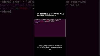 T• grep -n "ERROR": tìm lỗi trong report/log | L3 (Terminal Zero→Pro) #ubuntu #terminal #python