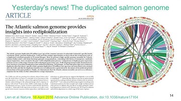 Towards the Digital Salmon