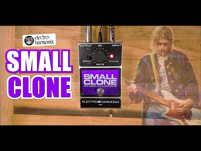 90s Vibe in a Classic Box | Electro-harmonix SMALL CLONE | Pedal