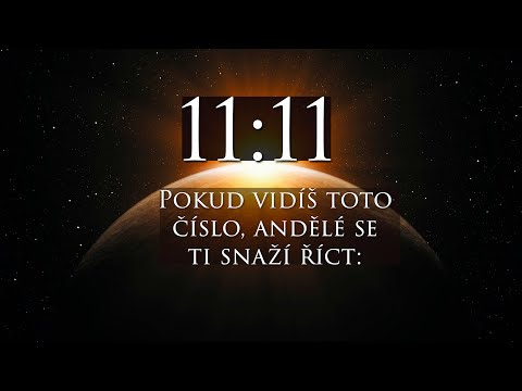 Video: Měl význam náhoda?