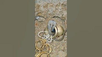 सांप करता है खजाने की रक्षा | The snake protects the treasure #gold #shorts