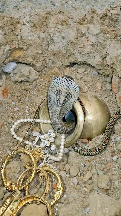 सांप करता है खजाने की रक्षा | The snake protects the treasure #gold #shorts