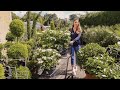 SPEND THE WEEKEND WITH ME | Plant shopping, Pampering and Bath | Laura Melhuish-Sprague