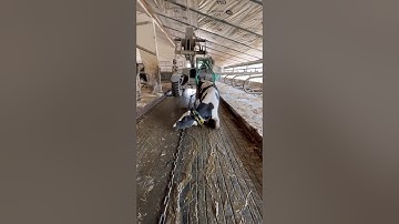 Intelligent Cow Transport  #cow #farming #automobile