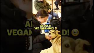 Ich veganisiere sie 🙏🏼😇 #veganismus #aktivismus #tierrechte #fleisch #milch