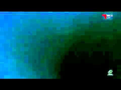 هدف اﻻهلي اﻻول على باريس سان جيرمان للناشئين