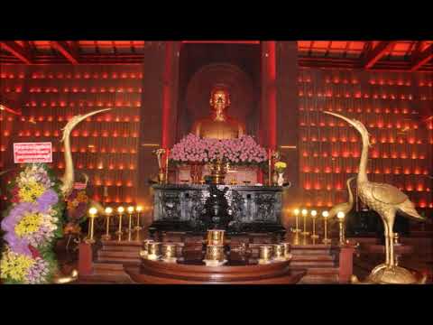 Video tham dự cuộc thi Hành Trình Về nguồn của Liên Đội THCS Trung Lập Hạ