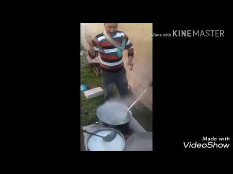 ناعور السامك