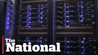 The Next: Server farms