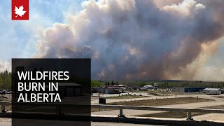 &#39;Unprecedented&#39; Alberta wildfires burn large areas and trigger evacuations