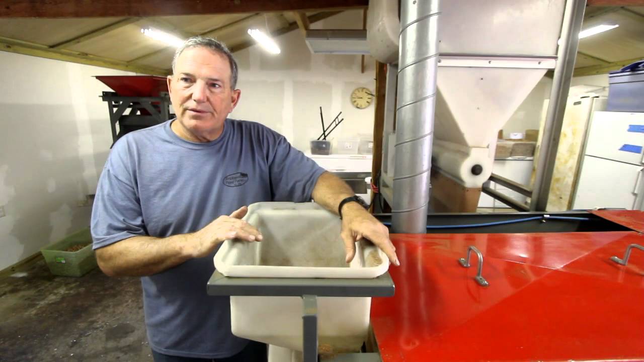 Pecan Processing YouTube