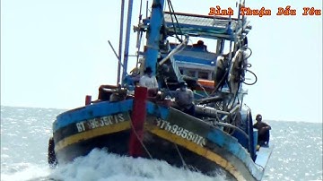 🔴Ghe Lưới Bao Bình Thuận Tăng Tốc Về Cảng Lagi