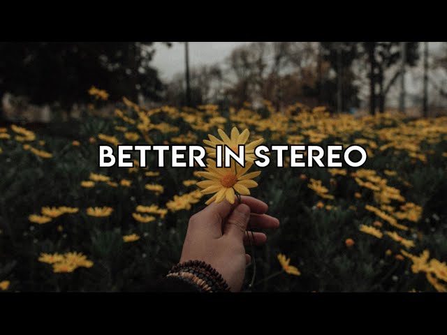 Better In Stereo - Dove Cameron (Lyrics) class=