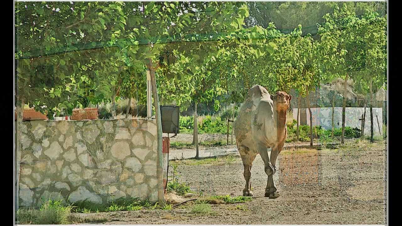 HOTEL CUEVA EN MONEGROS