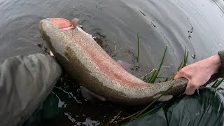 Fly fishing for BIG rainbow trout at Kilgad Trout Fishery