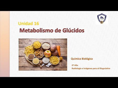 Química Biológica. Metabolismo Glúcidos 1º parte. Glucogenogénesis. Glucógenolisis