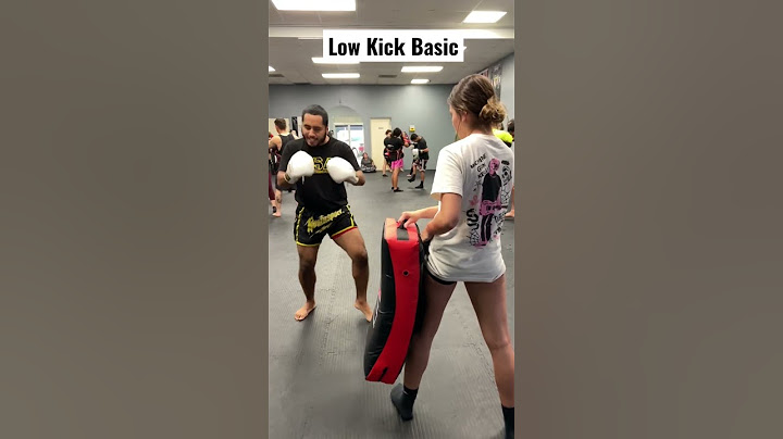 How to throw the Basic Low Kick