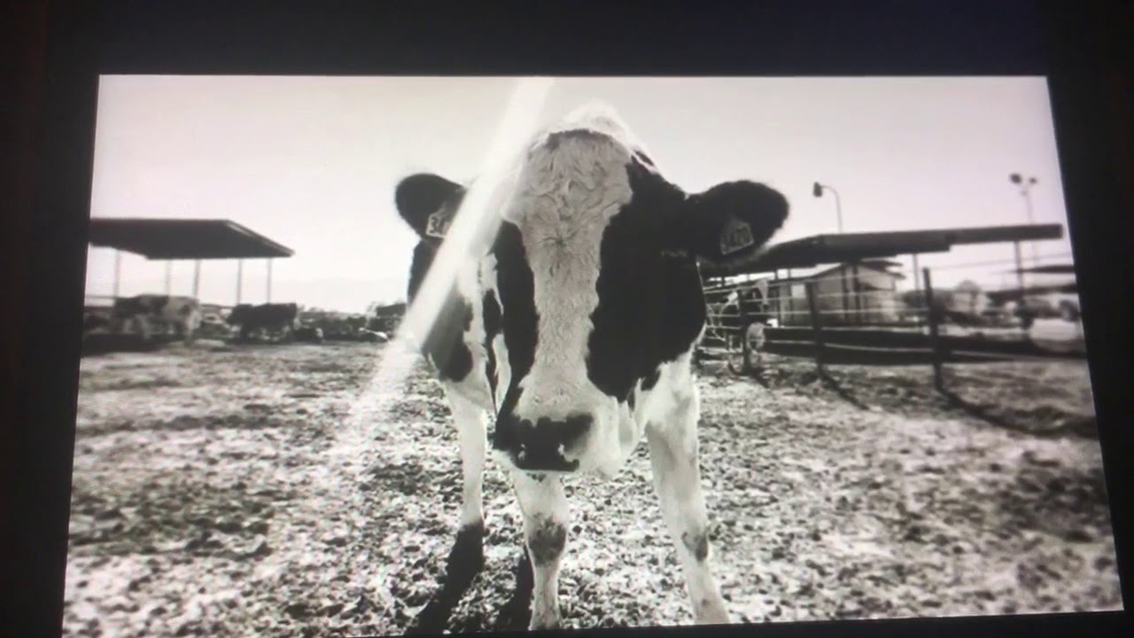 Anti essay - YouTube