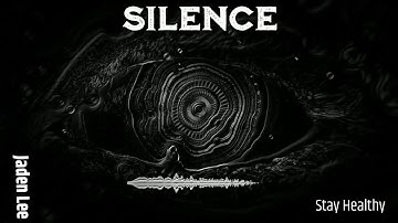 FL Studio 20.7 Visualizer Contest - Silence -  Jaden Lee