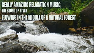 REALLY AMAZING RELAXATION MUSIC, THE SOUND OF  RIVER FLOWING IN THE MIDDLE OF A NATURAL FOREST #asmr