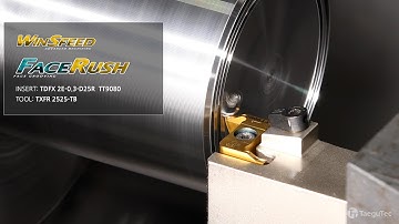 Rigid Clamping, Unique Inserts, Stable Holders, Outperform in Shallow Face Grooving: FACE-RUSH