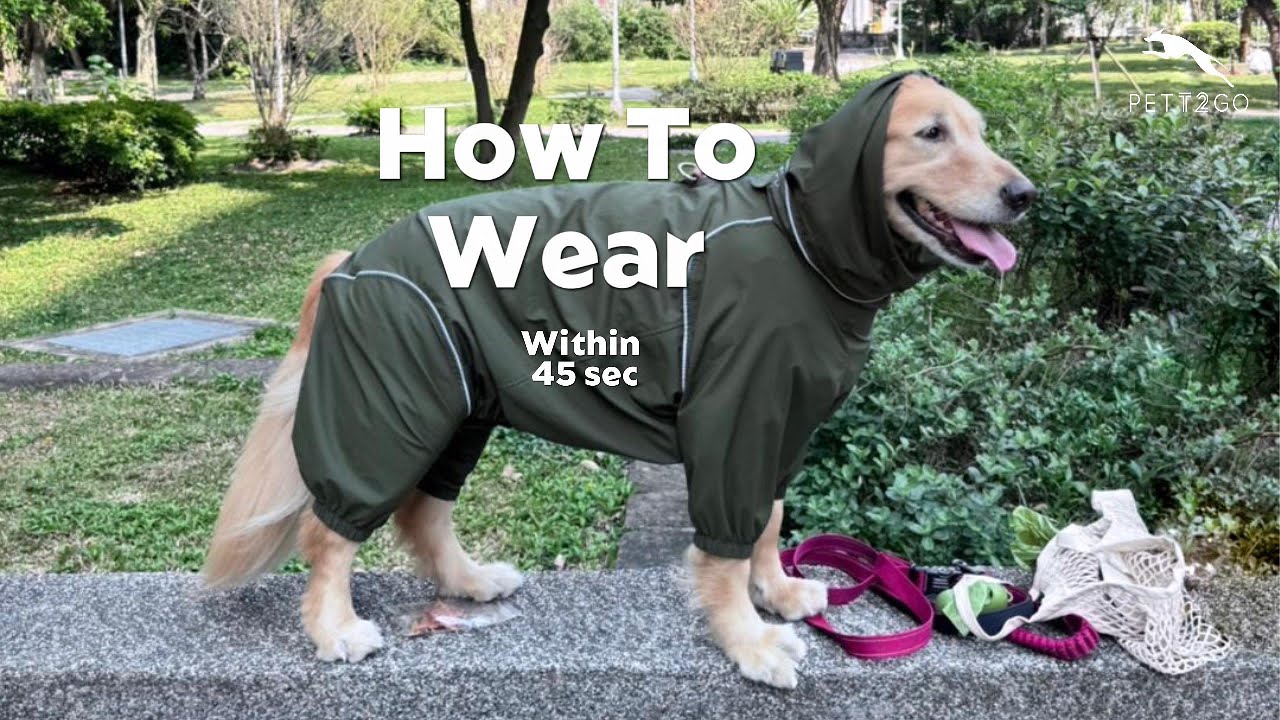 How to wear PETT2GO Outdoor Dog Jacket