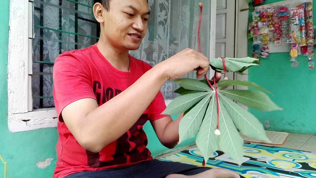 Mudahnya membuat  wayang dari  daun  singkong  YouTube