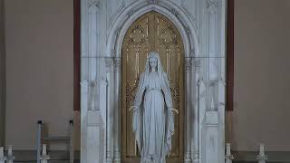 Sunday Mass: Thirty-Third Sunday of Ordinary Time