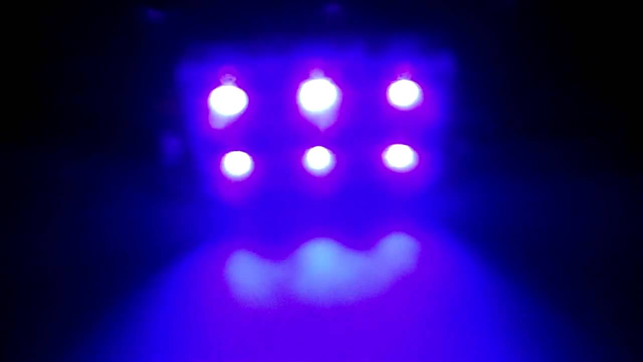 LEDbulbz : "UV-PURPLE" 6 FLUX-LED Bulb review...42MM-44MM LEDs!! 211-2, 212-2, 214-2, 569, 578