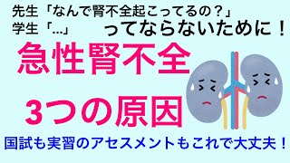 【これで安心】急性腎不全について解説！術後合併症での腎不全も説明！