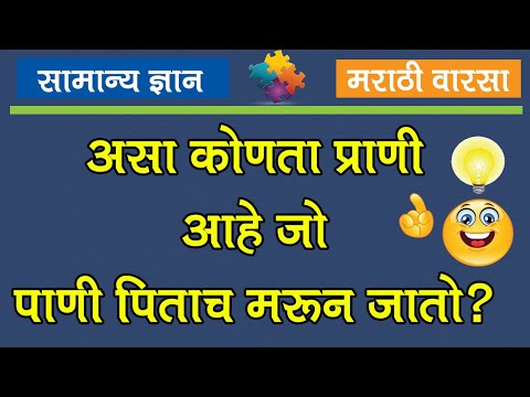 General Knowledge Questions and Answers in Marathi | GK Questions in Marathi 2022